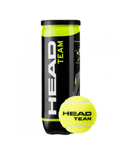 HEAD loptice za tenis TEAM 3/1 x24kom